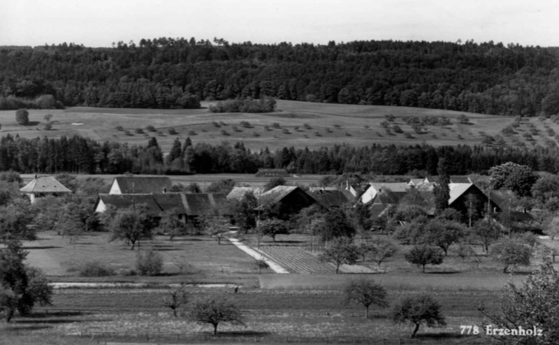 Frauenfeld-Erzenholz