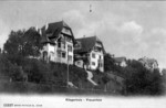 Frauenfeld Huser Regerholzstrasse um 1905