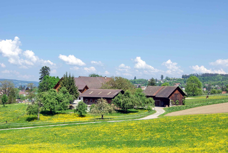 Frauenfeld Junkholz 2008 Privataufnahme