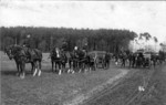 Frauenfeld Kleine Allmend berittene Artillerie um 1940