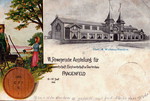 Frauenfeld Landwirtschaftsausstellung 1903 Obst und Wein