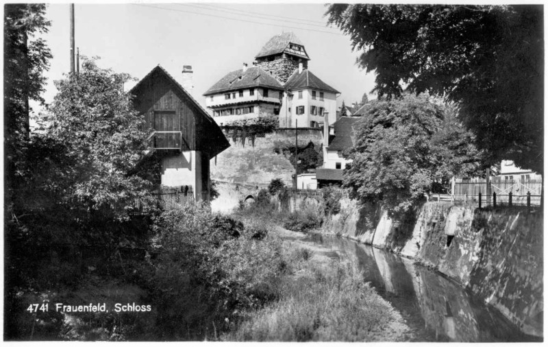 Frauenfeld Schloss von der Murg aus