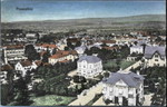 Frauenfeld Villen an der Ringstrasse um 1910