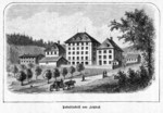 Frauenfeld Tabakfabrik Lotzbeck in der Walzmhle Druck von 1889
