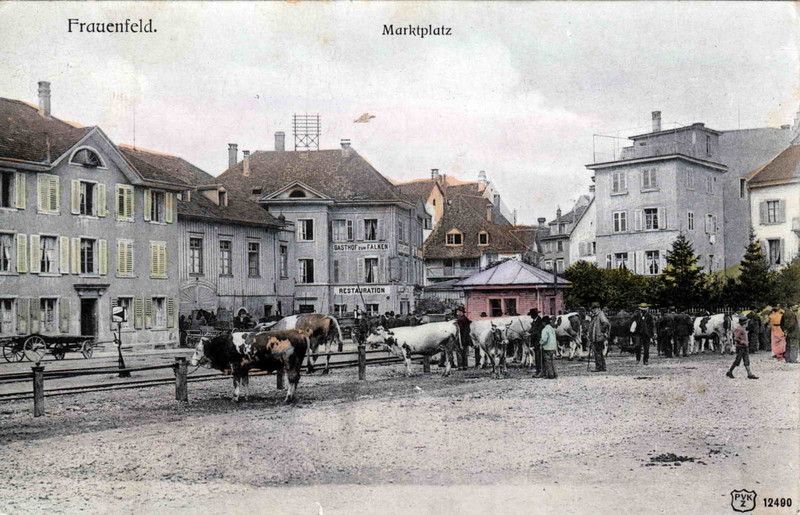 Frauenfeld Viehmarkt Falken