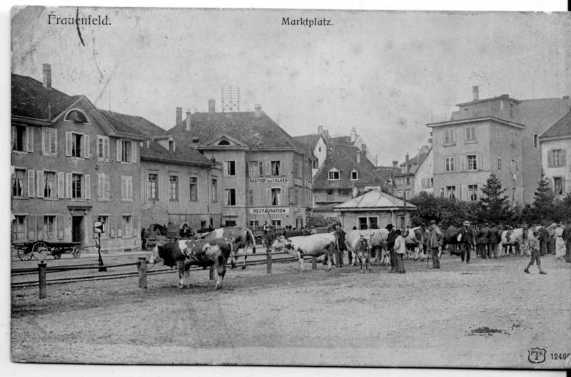 Frauenfeld Viehmarkt um 1910