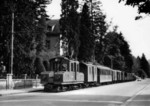 Frauenfeld Wilerbahn Gterzug 1976