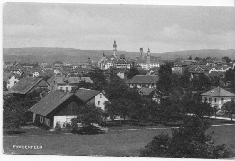 Frauenfeld vom Junkholz 02