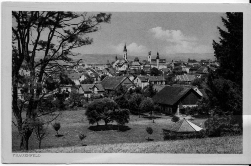 Frauenfeld vom Junkholz 04