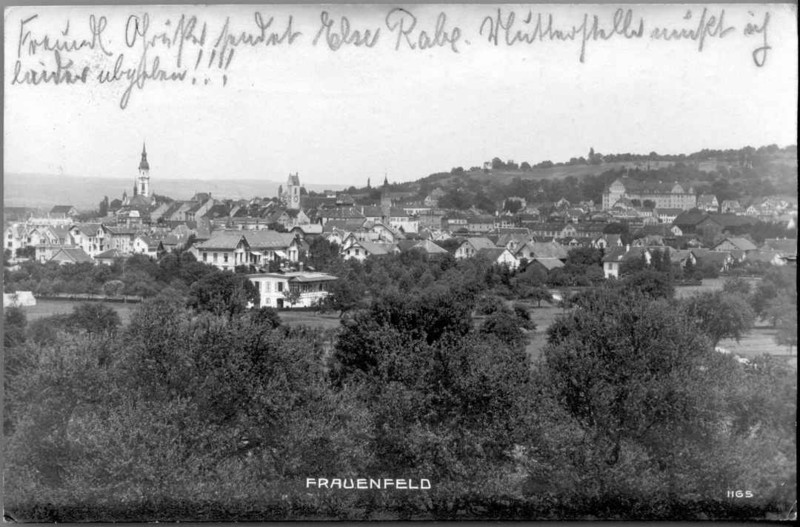 Frauenfeld vom Schollenholz um 1920