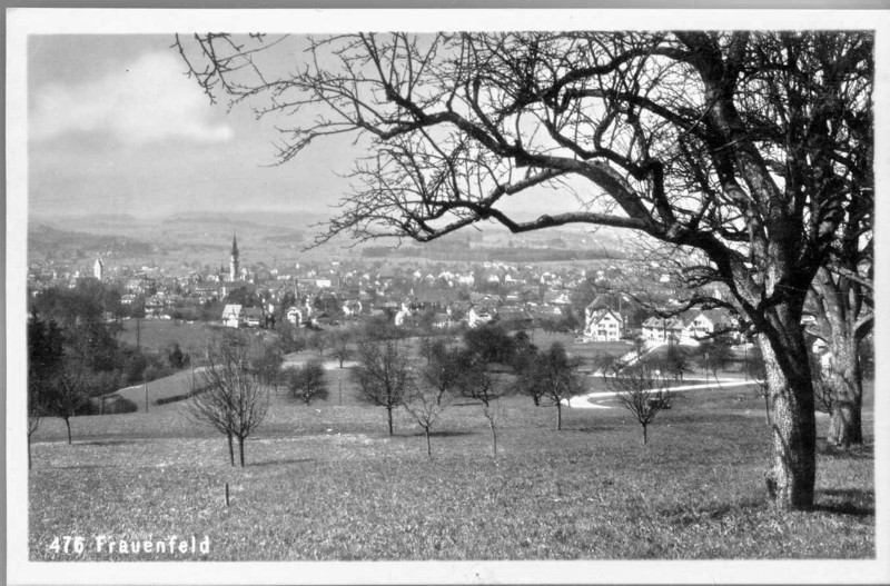 Frauenfeld von Herten aus