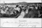 Frauenfeld von Norden mit Murg um 1900