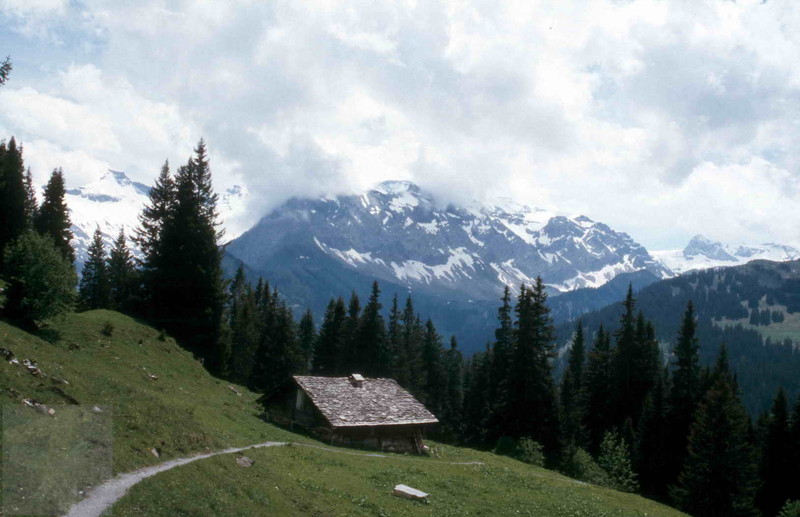 Alphütte Adelboden