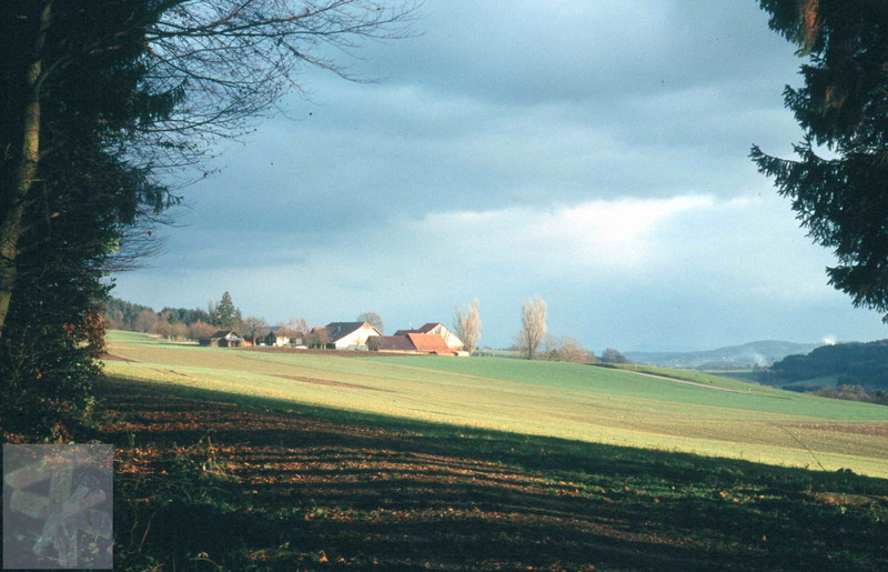 Friedberg 01