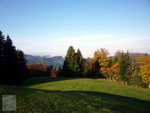 Herbst bei Allenwinden 01