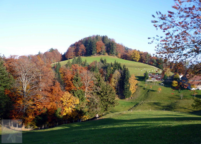 Herbst bei Allenwinden 04