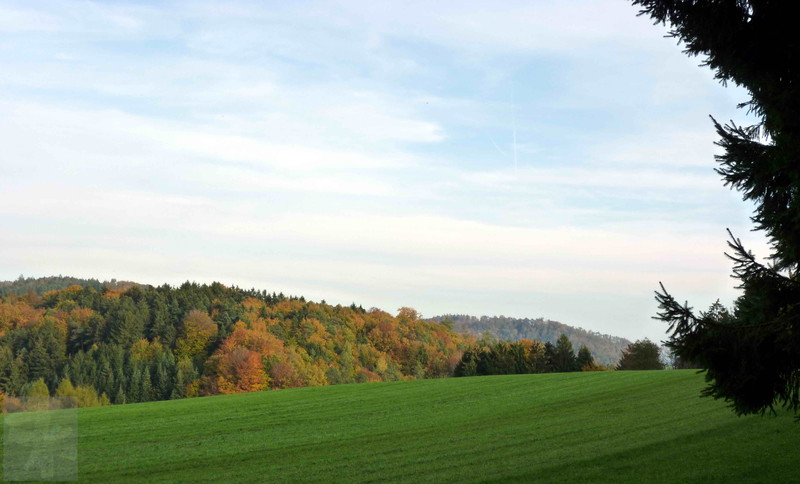 Herbstwald