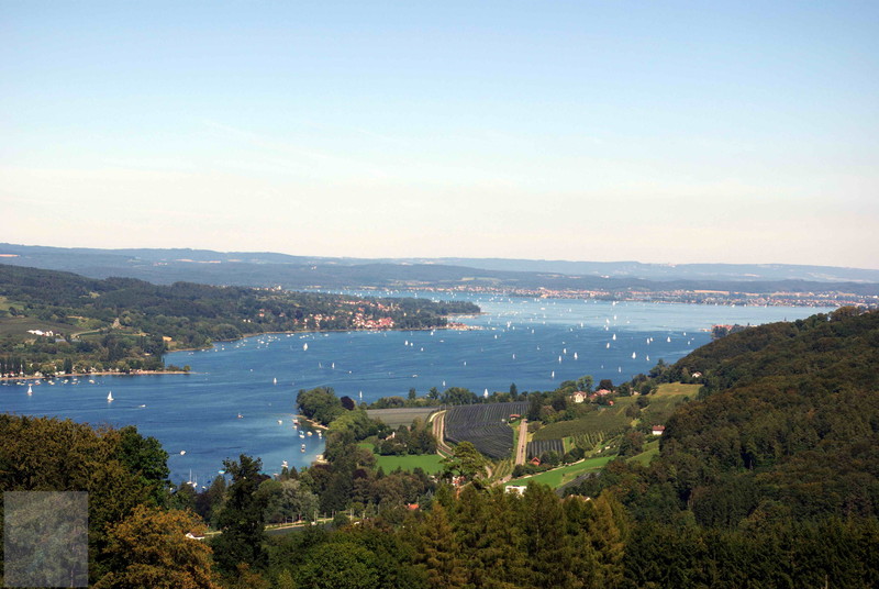 Segelwetter am Untersee