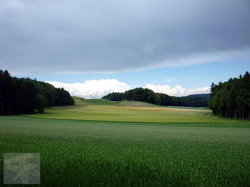 Sommer im Thurgau 02