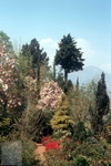 Tessin Parco 01