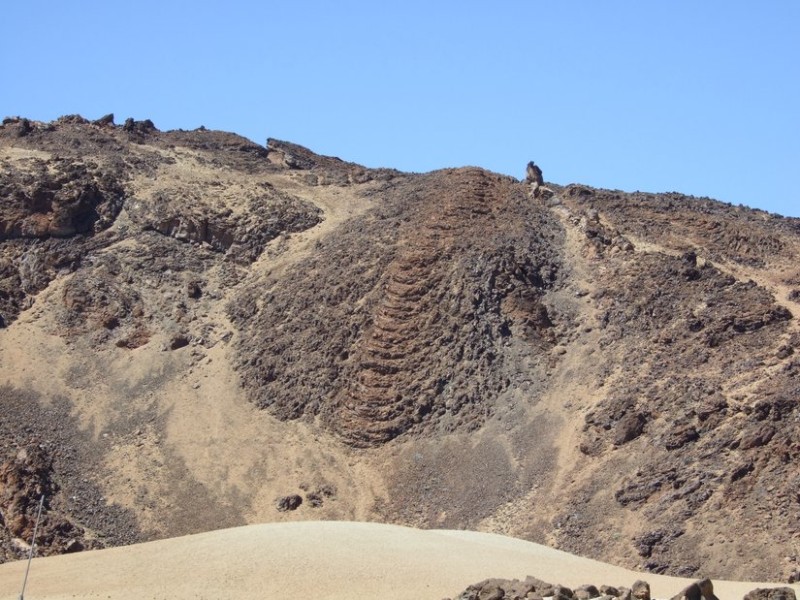 Stricklava, Tenerife, 11.03.08