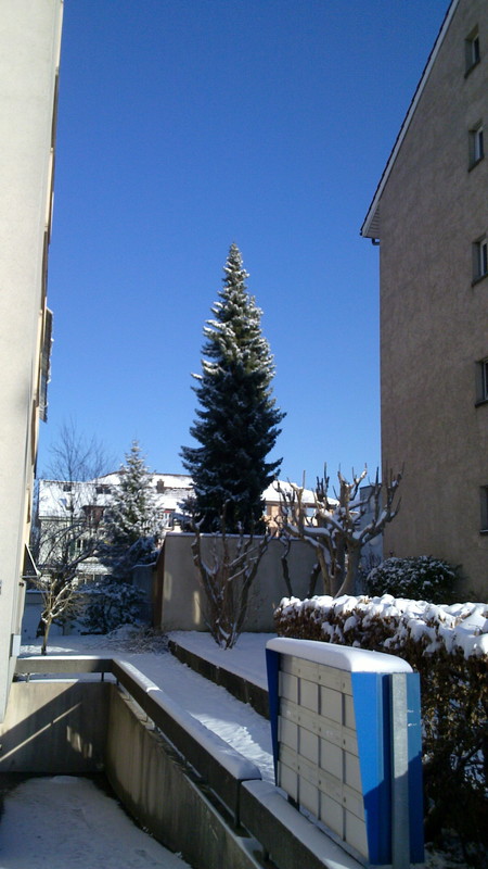 20101226_041.jpg