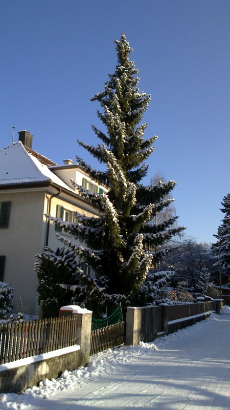 20101226_045.jpg