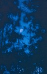 Mond