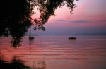 Abend am Untersee